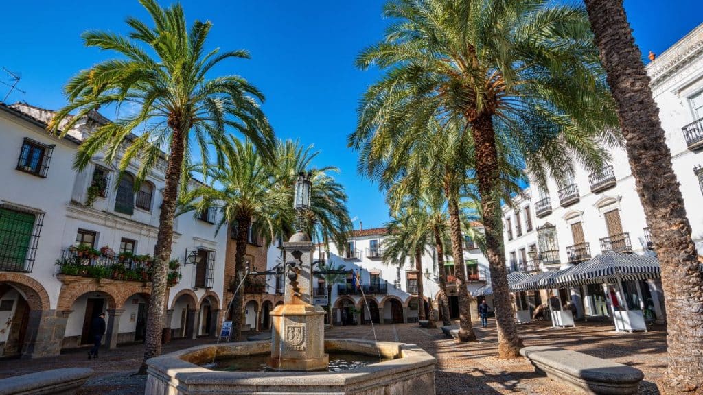 vistas de una plaza en zafra