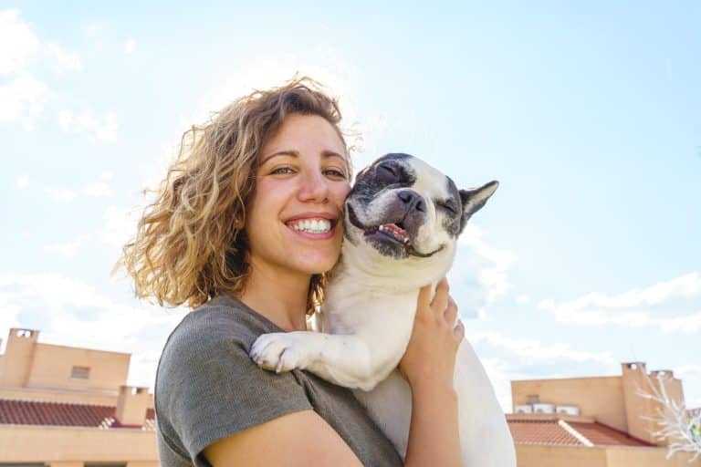 Cuánto cuesta mantener un perro: desglose