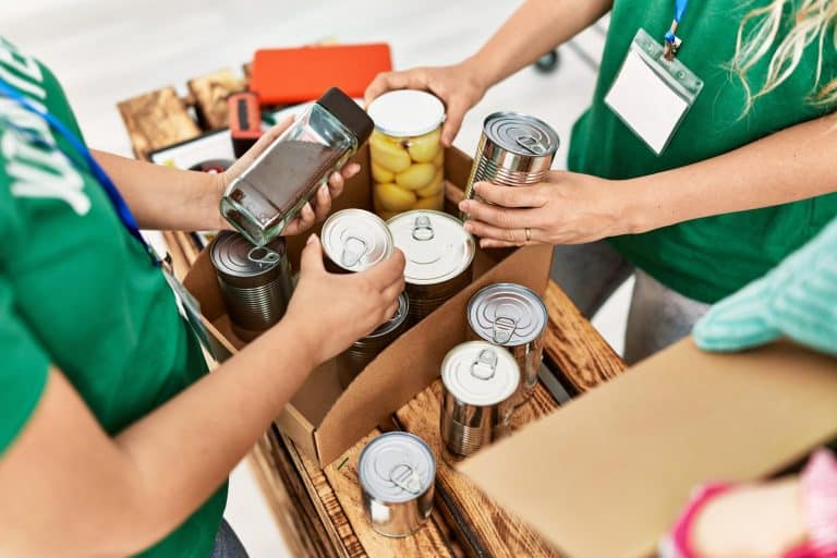 ayudas alimentarias en españa